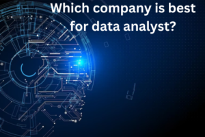 Read more about the article Which company is best for data analyst?